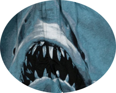  Item 11 